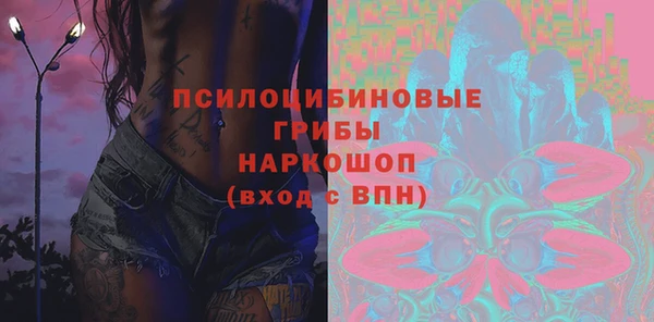 шишки Пестово