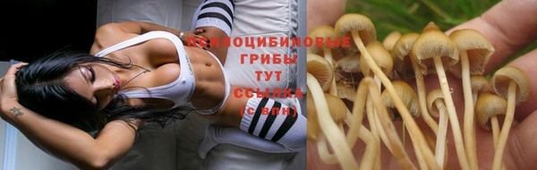 ГАЛЛЮЦИНОГЕННЫЕ ГРИБЫ Переславль-Залесский