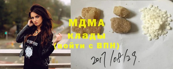 молекула духа Богданович