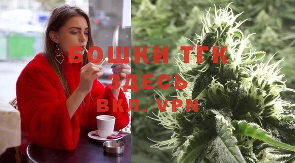 молекула духа Богданович