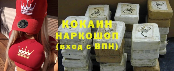 шишки Пестово