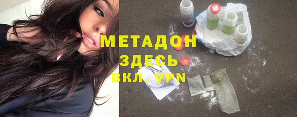 молекула духа Богданович