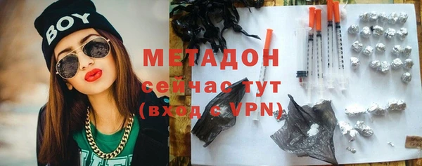 молекула духа Богданович