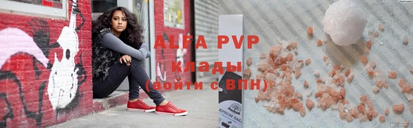 молекула духа Богданович