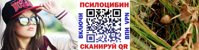 Псилоцибиновые грибы Magic Shrooms  Динская 